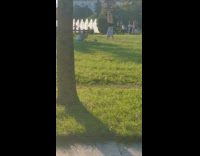 Black shorts guy handstand water fountain grass