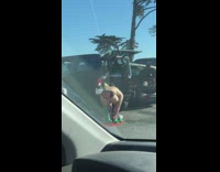 Guy struggles to take green wetsuit off 