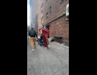 Collab WINY - Man wearing strange spiderman foxy costume