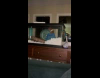 Hamster inside cage spin wheel from the side