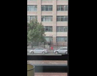 Person does karate moves on sidewalk