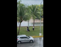 Girl white shirt on road center island