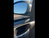 Locust on the side of the car