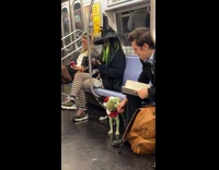 Collab Subway Creatures - Dog green paint grinch at train subway