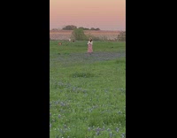 Long pink skirt girl purple flowers grass