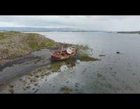 Oystercatcher bird flies towards the drone near the shipwreck