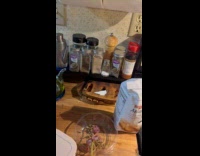 Rabbit waiting for hooman at the living room