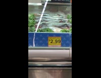 Blue fish sandals grocery store market display