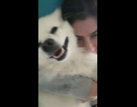 Dog smiles when girl gives hug