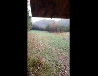 Mist float and wave above grass yard 