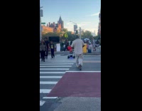 Chucky does wheelie while crossing the road