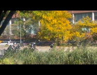 Motorcyclist riders drive parade on the street