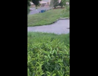 Guy grey jacket act like shot grass