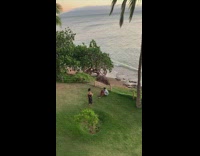 Man blue floral polo sits on grass beach pictorial