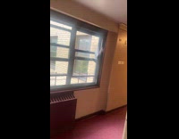 Collab WINY - Pigeon try to fly through hallway window