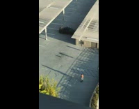 Shirtless girl skate shoes black car parking