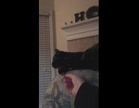 Black cat plant flowerpot toy girl 