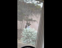 Two women tiktok dance at the backyard