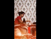 Dog on couch gets food from mom