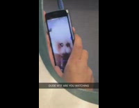 man watches puppy cam from train seat
