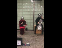 People wearing metal animal masks perform music