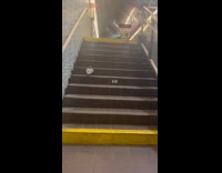 Collab Subway Creatures - Pigeon went up the stairs of subway
