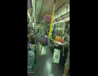 Colorful dress pink purple tulle hair hangs in the air on subway train pole