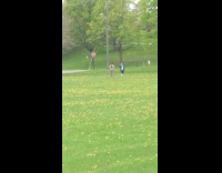 Girl striped pants park yellow flowers stop