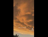 Little kid points out butt shaped sunset clouds 