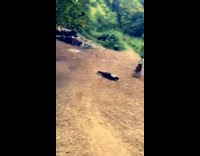 Skateboarder tries.to go downhill 