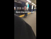 damn they let him out rainbow hair