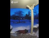 Girl slips on snow fail security camera 