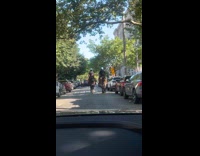 Two police officers ride horse on street
