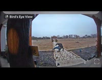 Man slipped on the icy yard walkway