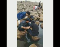 Guy misses step and falls into water