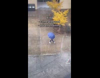 Rating people walking in the rain campus