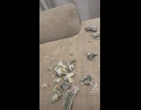 Collab BitchMP - Dog rips up money woman crying