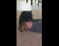 Collab Clips MPUGC - Black dog carpet floor cuddles lady
