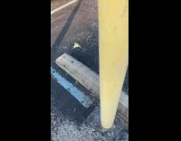 Collab BitchMP - Silk moth lands on mans hand 