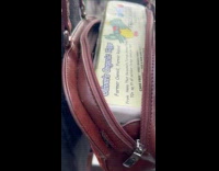 Woman with tray of eggs inside bag