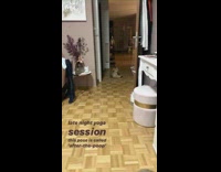 Collab KaleSaladIG - Cat chills in hallway laying down with legs wide open 