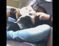 Guy gives black dog shoulder massage chair 