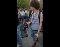 Bearded dragon mating in front of people