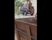 Green skirt girl poses wood mailbox tripod 