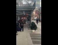 Person wears plant costume on the sidewalk