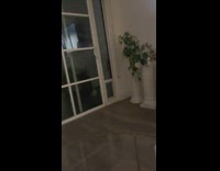 Collab Clips mpugc - Dog runs through small dog door outside