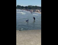 Woman wet white sleeves dramatic dance beach video shoot