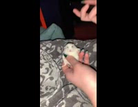Collab BitchMP - Holding white hamster in hand its stuck and cant move 