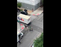 Man and woman transport plant use skateboard