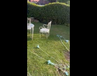 Dog mess yard blue and pink yarn